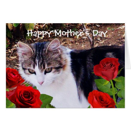 MOTHER'S DAY CAT WITH RED ROSES CARDS (Front Horizontal)