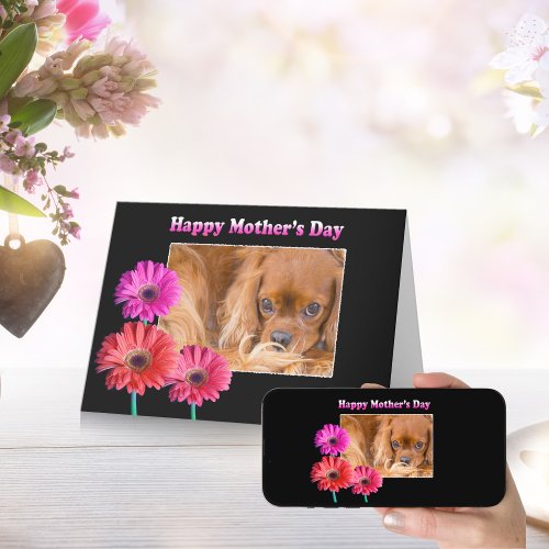 Mothers Day Cavalier King Charles Daisies Card