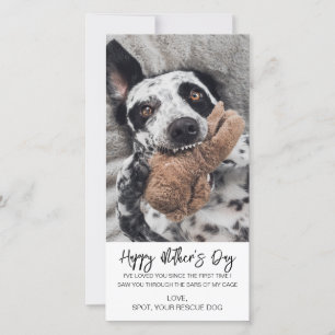 Mother's Day Custom Dog Photo From Dog Pet Holiday Card