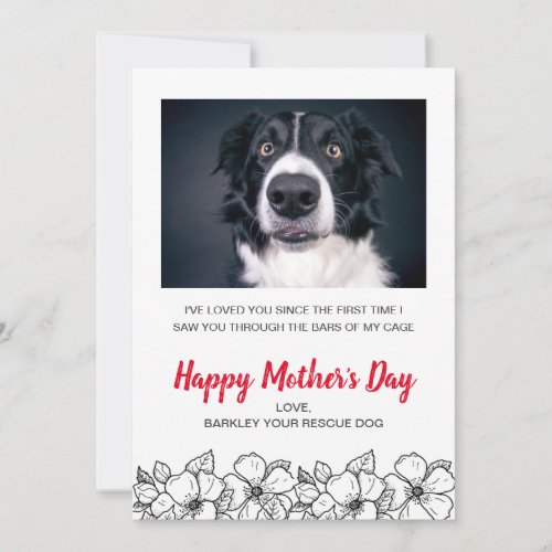 Mothers Day Custom Dog Photo From Dog Pet Holiday Card