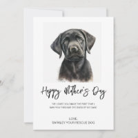 Mother's Day Custom Dog Photo From Dog Pet