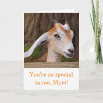 Mother's Day Cute Baby Goat Card