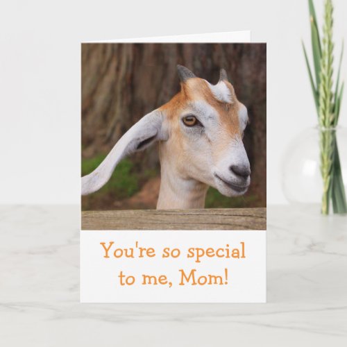 Mothers Day Cute Baby Goat Card