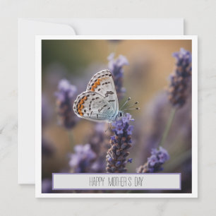 Mother's Day Cute Butterfly Lavender Floral Custom