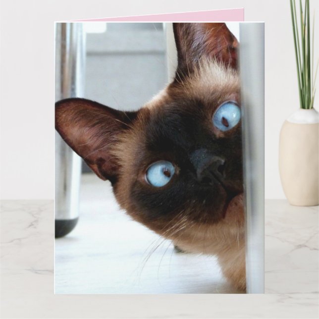 MOTHER'S DAY CUTE PEEKING CAT GREETING CARD (Front)