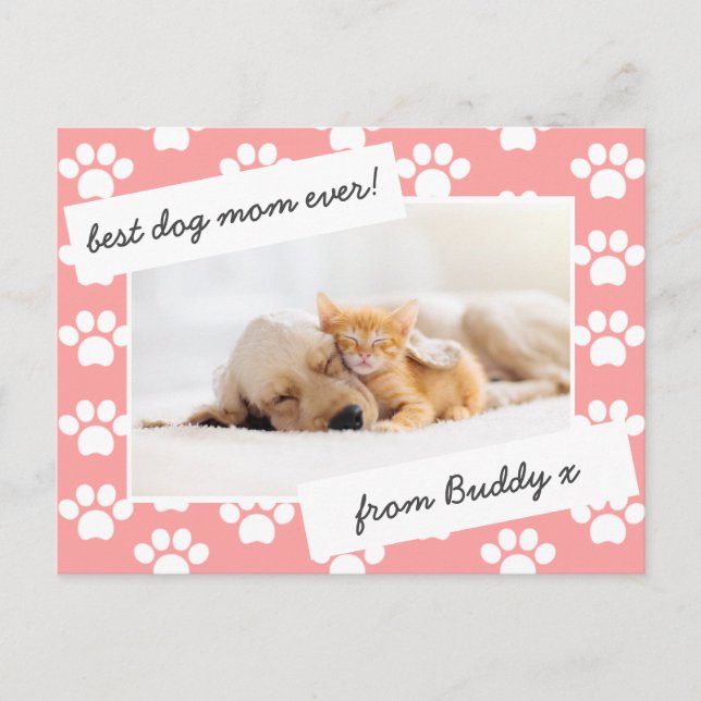 mothers day dog mom photo postcard (Front)