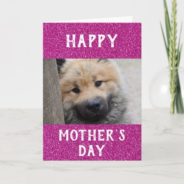 Mothers Day Dog Mom Worlds Best Ever Pet Photo Card (Front)