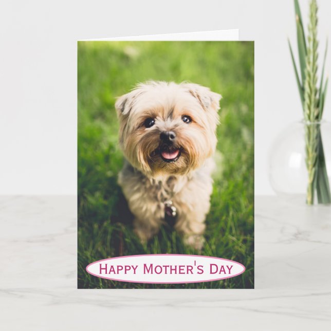 Mother's Day Dog Mom World's Best Ever Pet Photo Card (Front)
