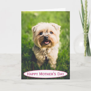 Mother's Day Dog Mom World's Best Ever Pet Photo Card