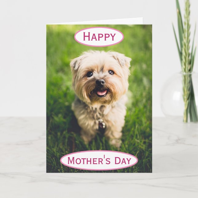 Mother's Day Dog Mom World's Best Ever Pet Photo Card (Front)