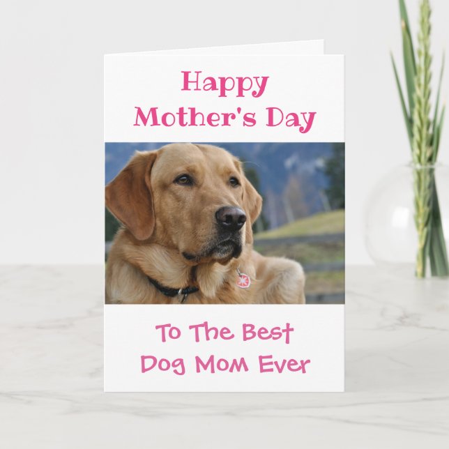 Mother's Day Dog Mom World's Best Ever Pet Photo Holiday Card (Front)