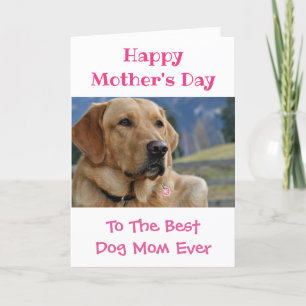Mother's Day Dog Mom World's Best Ever Pet Photo Holiday Card