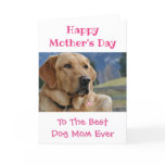 Mother's Day Dog Mom World's Best Ever Pet Photo Holiday Card Mother's Day Dog Mom World's Best Ever Pet Photo Holiday Card