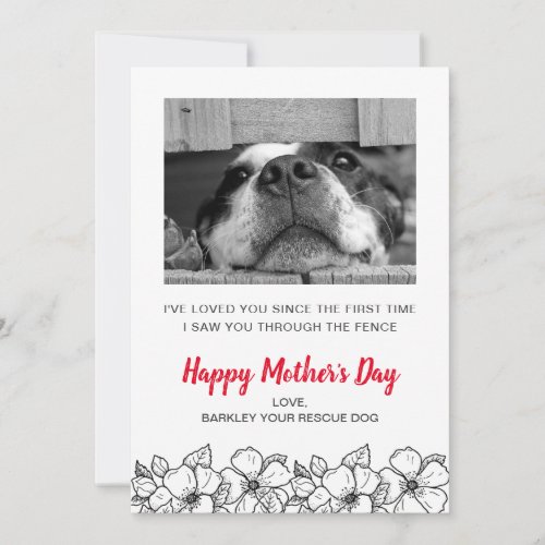 Mothers Day Dog Photo From Rescue Dog Pet Holiday Card