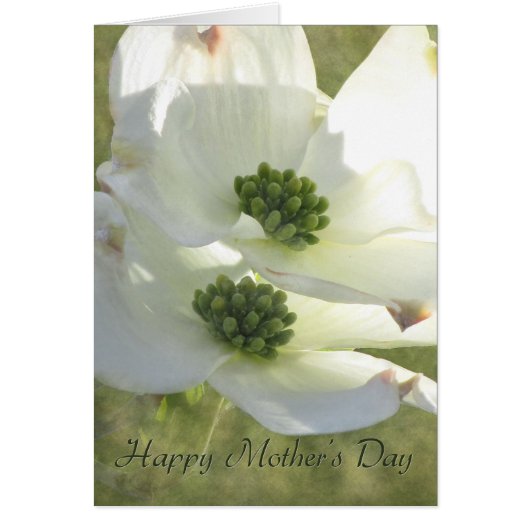 Mother's Day Dogwood Cards (Front)