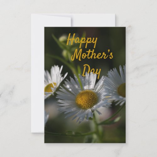 Mothers Day flat card_Daisy Card