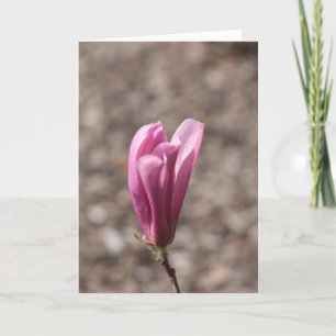 Mothers Day Flower Card