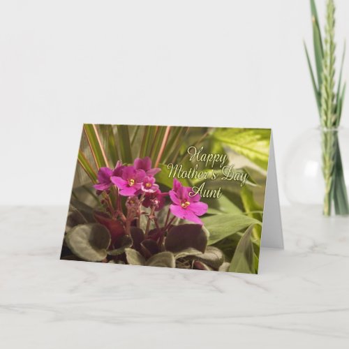 Mothers Day for Aunt _ African Violets Card