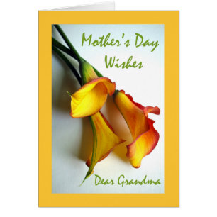 Mother's Day for Grandma, Calla Lilies Cards