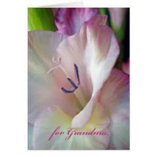 Mother's Day for Grandma, Pink Gladiolus Photo Cards
