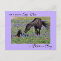 Mother's Day for Step Mom Mare & Foal Photo Postcard