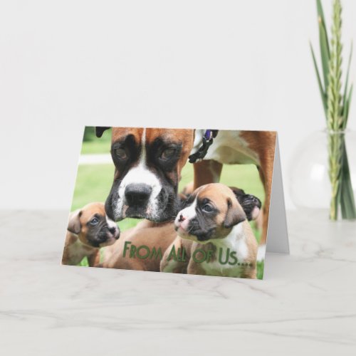 Mothers Day _ From All of Us Boxer Puppies _ Vindy Card