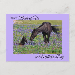Mother's Day from Both of Us Mare & Foal Photo Postcard
