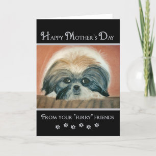 Mother's Day - From Furry Friends Card