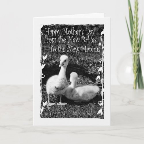 Mothers Day from New Twins Card
