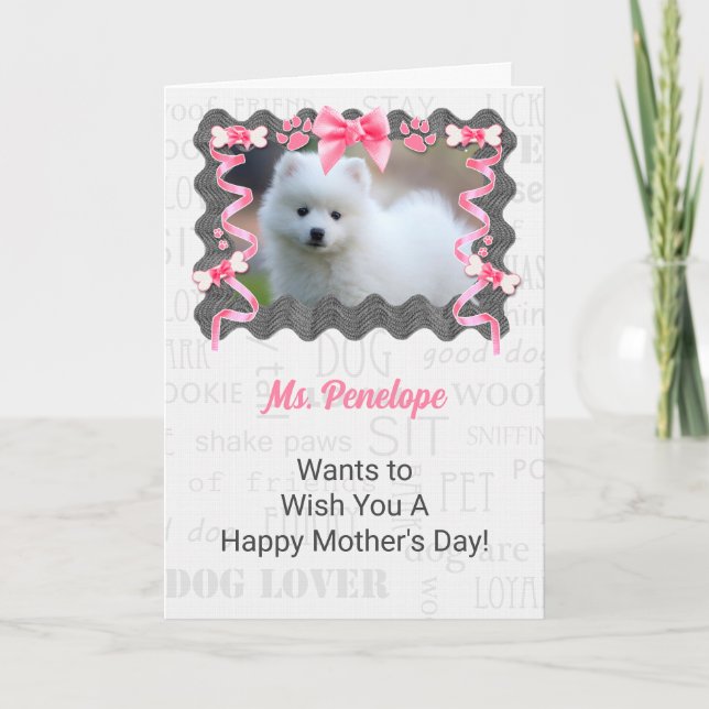 Mother's Day from the Dog in Pink and Gray Card (Front)