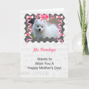 Mother's Day from the Dog in Pink and Gray Card