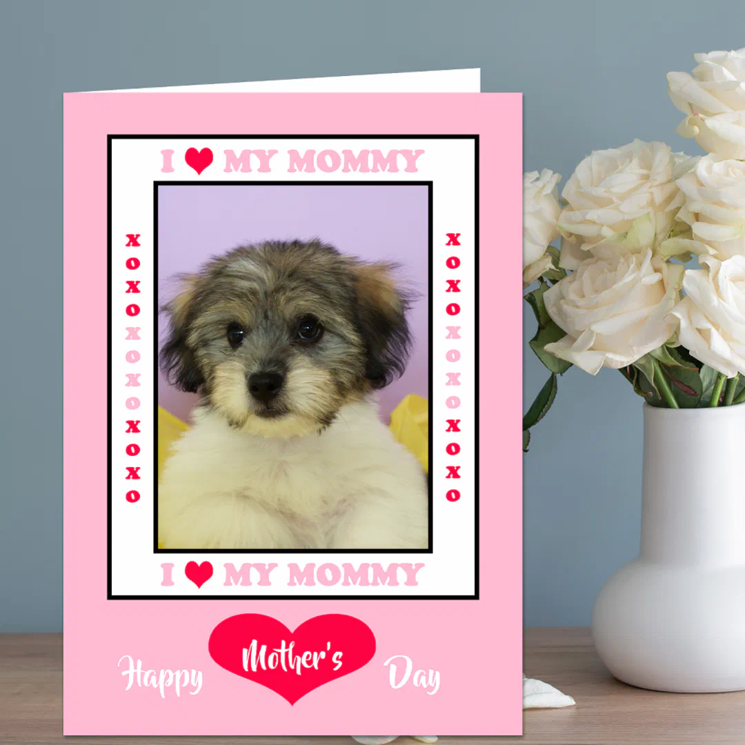 Mother's Day from the dog custom photo card with personalized pet picture.