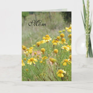 Mothers Day Garden Cards by Janz