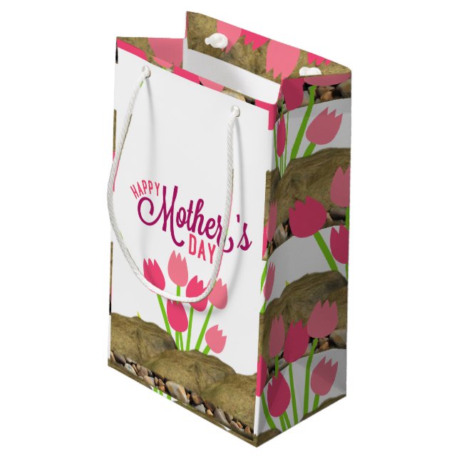 Mother's Day Gift Bag (Back Angled)