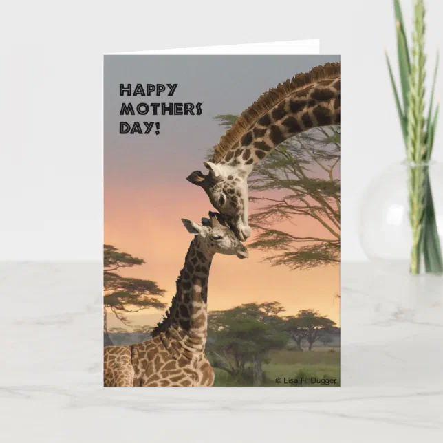 Stunning Giraffe Mother's Day Card Moment Art Stunning Giraffe Mother's Day Card Moment Art