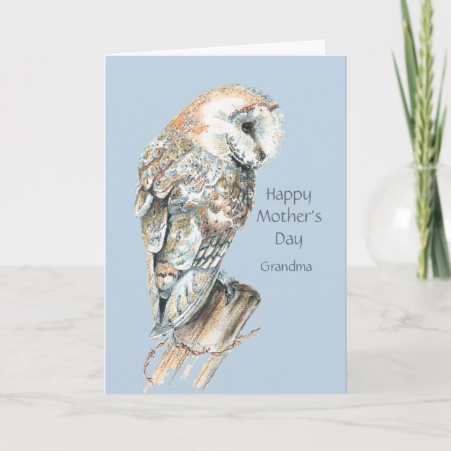 Mother's Day Grandma Humor Barn Owl Bird Card (Front)