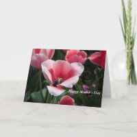 Mother's Day Greeting Card