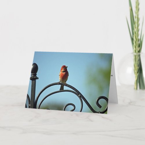 Mothers Day Greeting from Little Red Bird Card