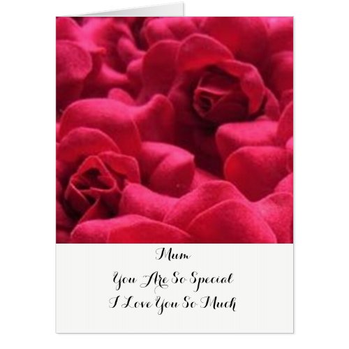 Mothers Day Greetings Card