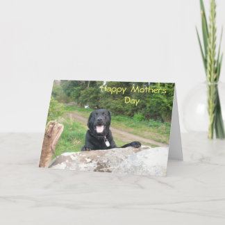 Mothers Day Greetings Card