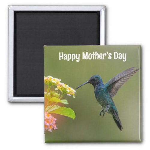 Mothers Day Hummingbird Magnet