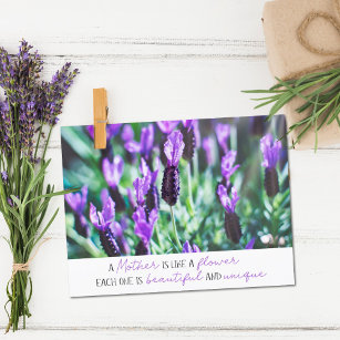 Mothers day Lavender field inspirational quote Postcard