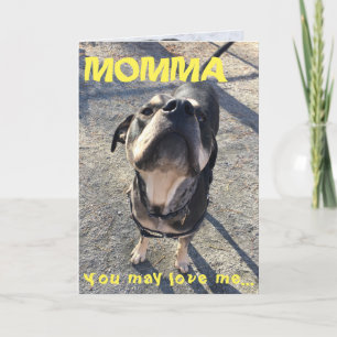 Mother's Day Licking from Dog Card