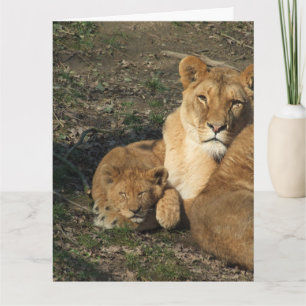 MOTHER'S DAY LION AND BABY CUB Greeting Card