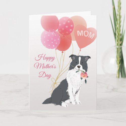 Mothers Day Love from your Border Collie Dog Card