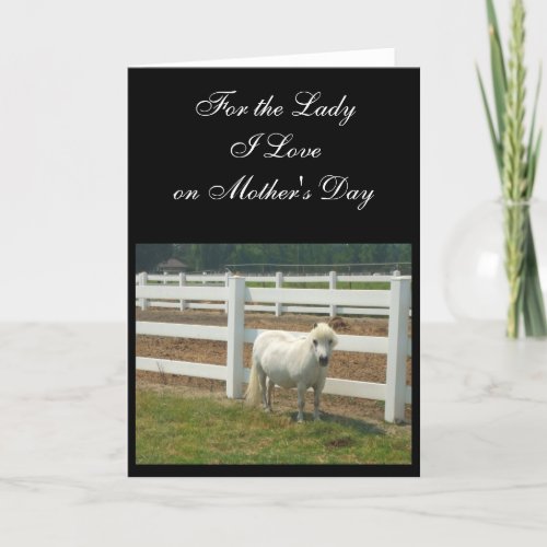 Mothers Day Love Miniature horse greeting card