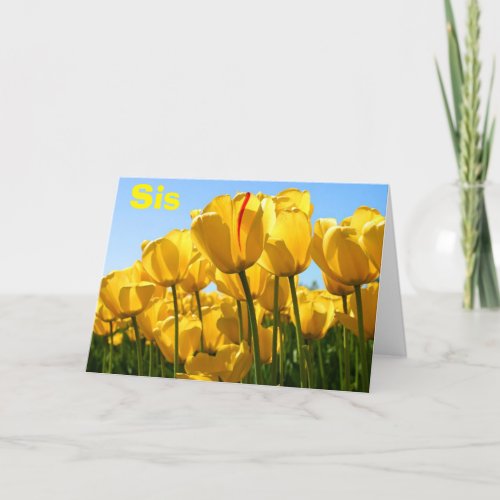 MOTHERS DAY LOVE SIS WITH  BUNCHES OF TULIPS TOO CARD