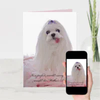 Maltese Mom Dog Mom Mothers Day Card, Maltese, Dog Mom Card, Happy