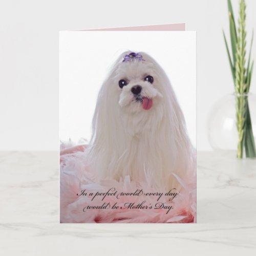Mothers Day Maltese Dog Card
