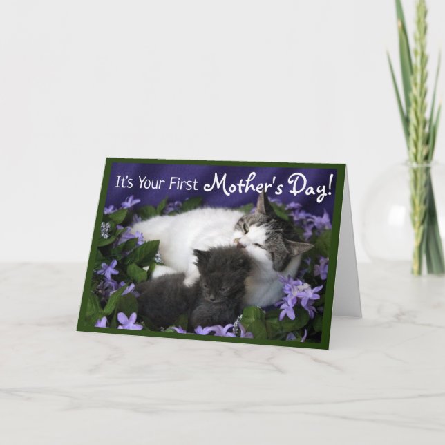 Mother's Day - Momma Cat and Kitten Card (Front)
